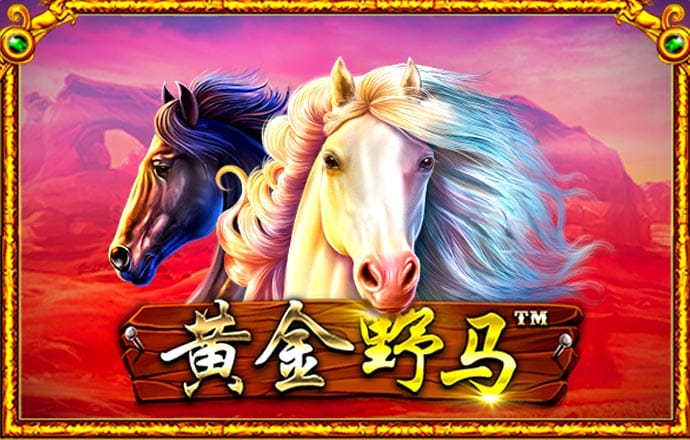 三肖必中特三肖三码官方下载
